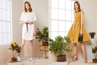 大型品牌折扣女裝連鎖店裝修技巧